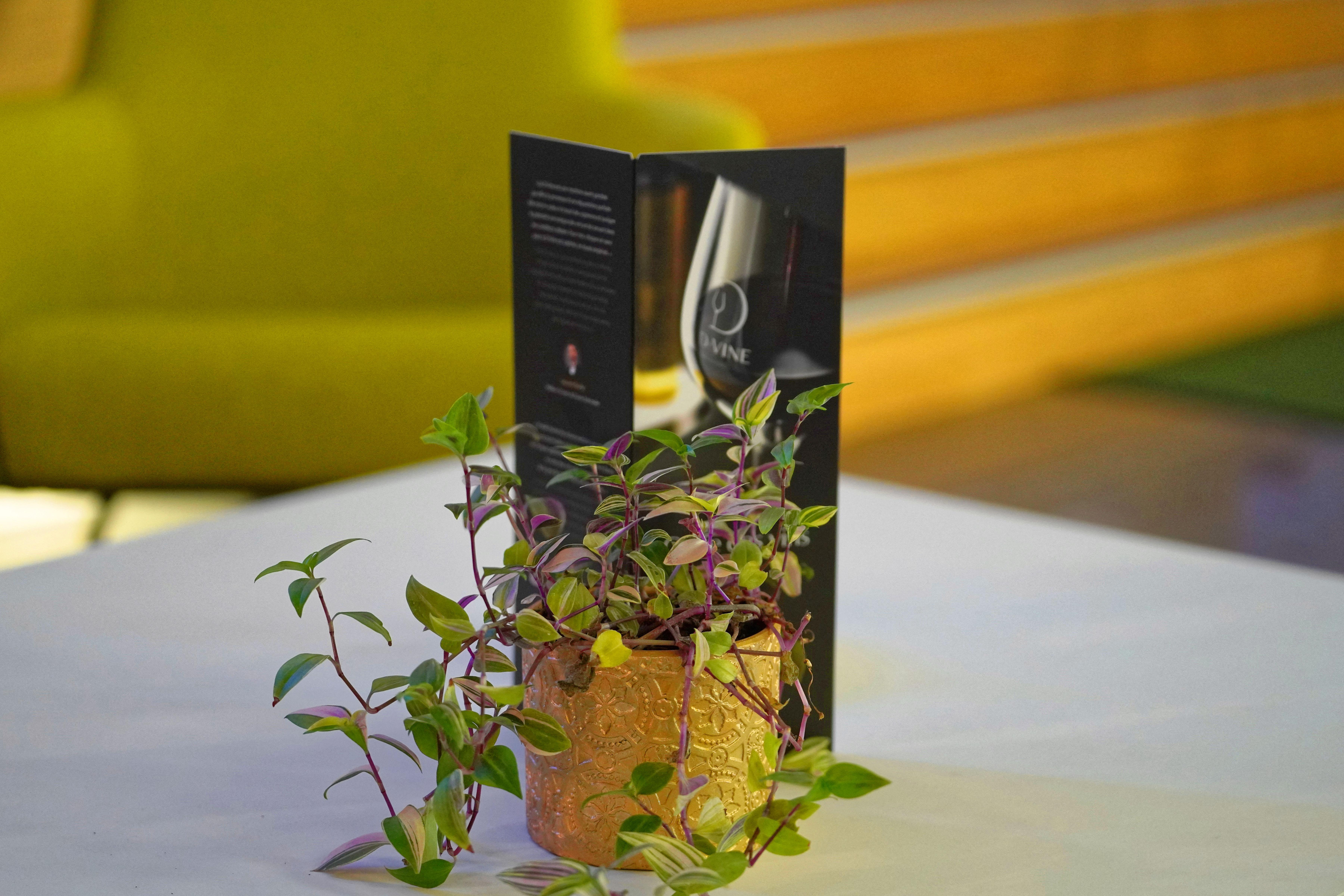 Hotel Luxotel Cannes